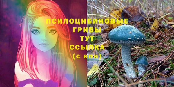 дживик Алексеевка